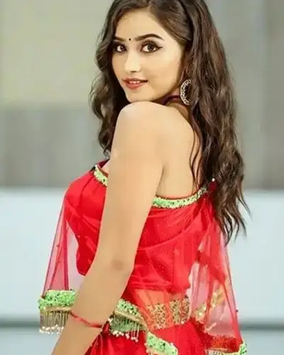 Call Girls Pallipattu Cash On Delivery